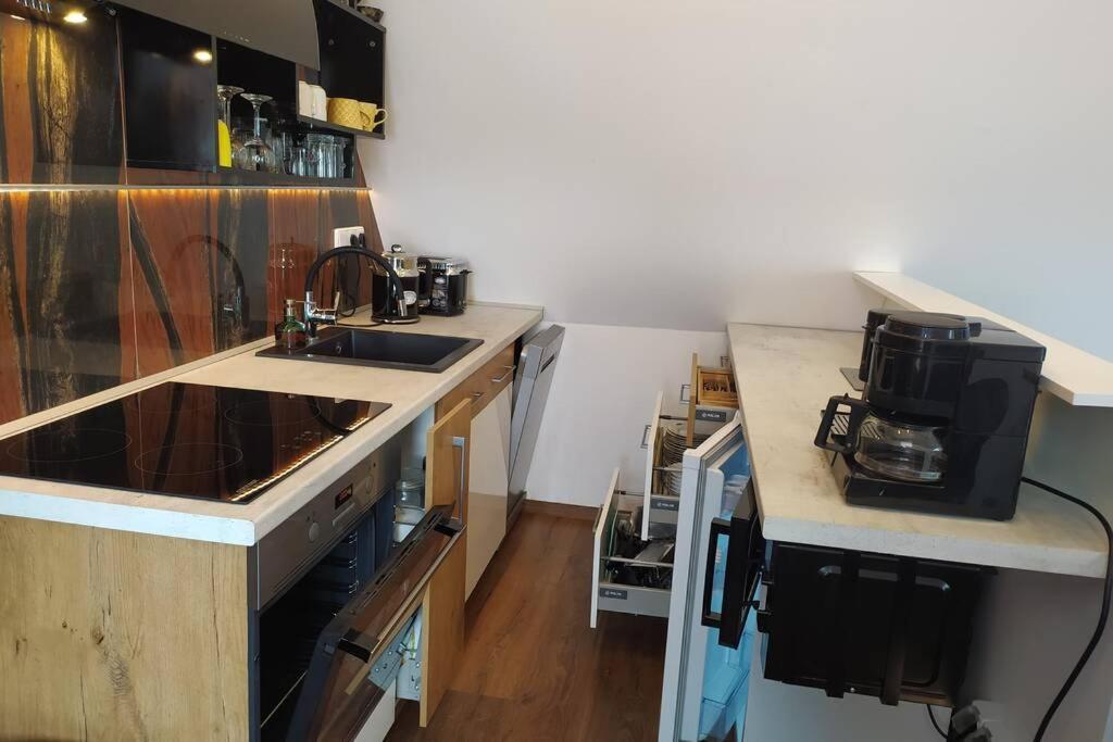 Apartman Atelier Vary V Nove Zrekonstruovanem Dome Karlovy Vary Luaran gambar