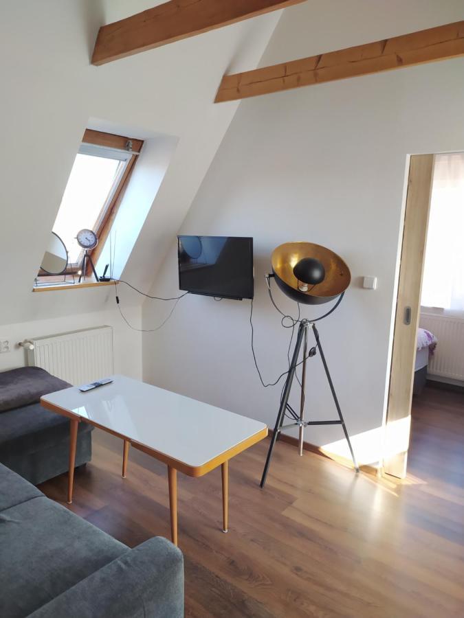 Apartman Atelier Vary V Nove Zrekonstruovanem Dome Karlovy Vary Luaran gambar
