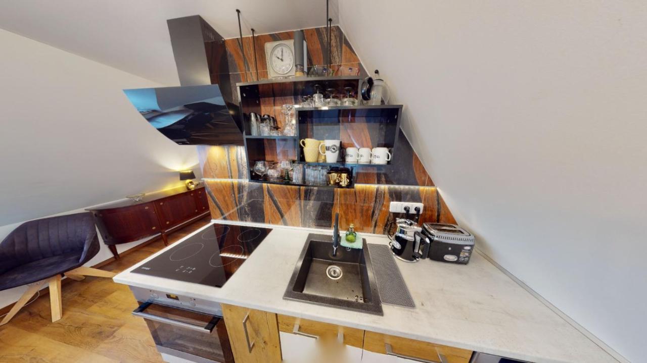 Apartman Atelier Vary V Nove Zrekonstruovanem Dome Karlovy Vary Luaran gambar