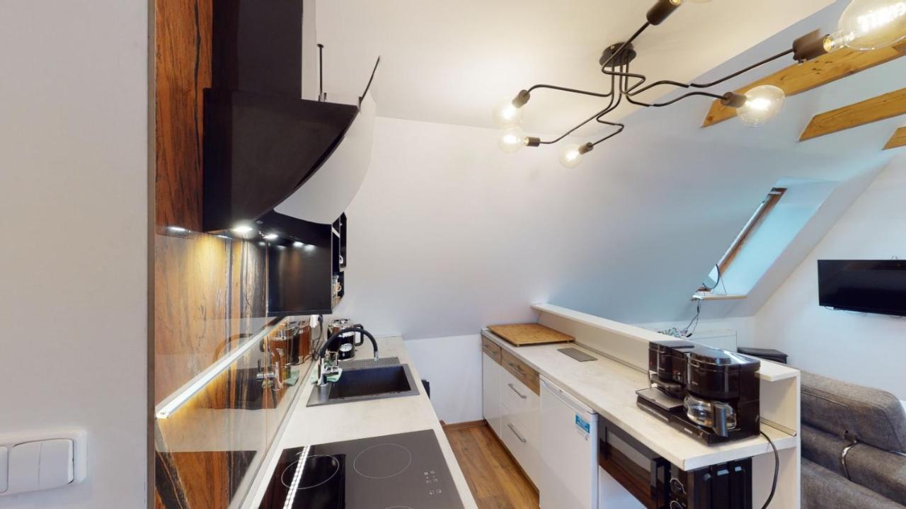 Apartman Atelier Vary V Nove Zrekonstruovanem Dome Karlovy Vary Luaran gambar